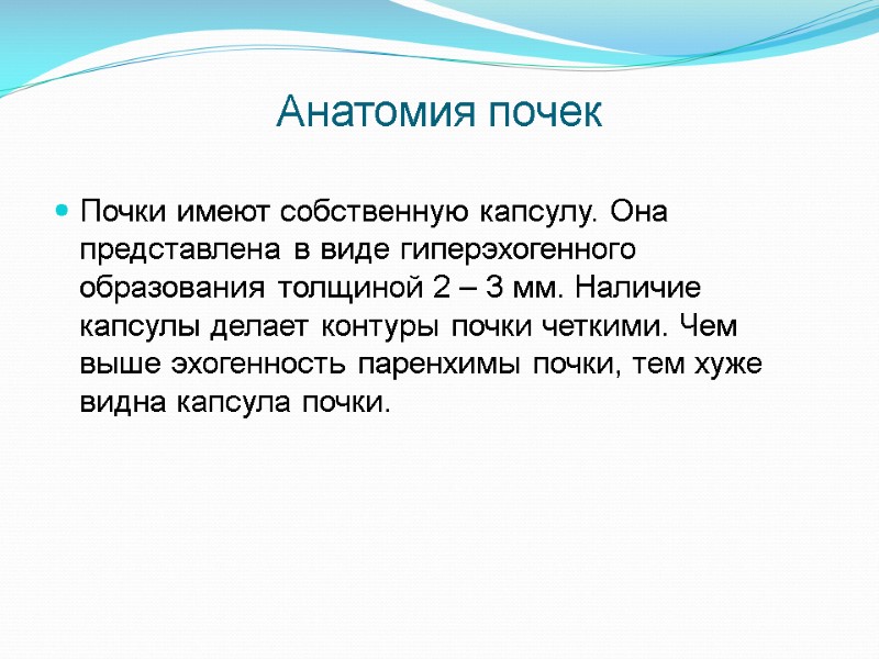 Анатомия почек Почки имеют собственную капсулу. Она представлена в виде гиперэхогенного образования толщиной 2